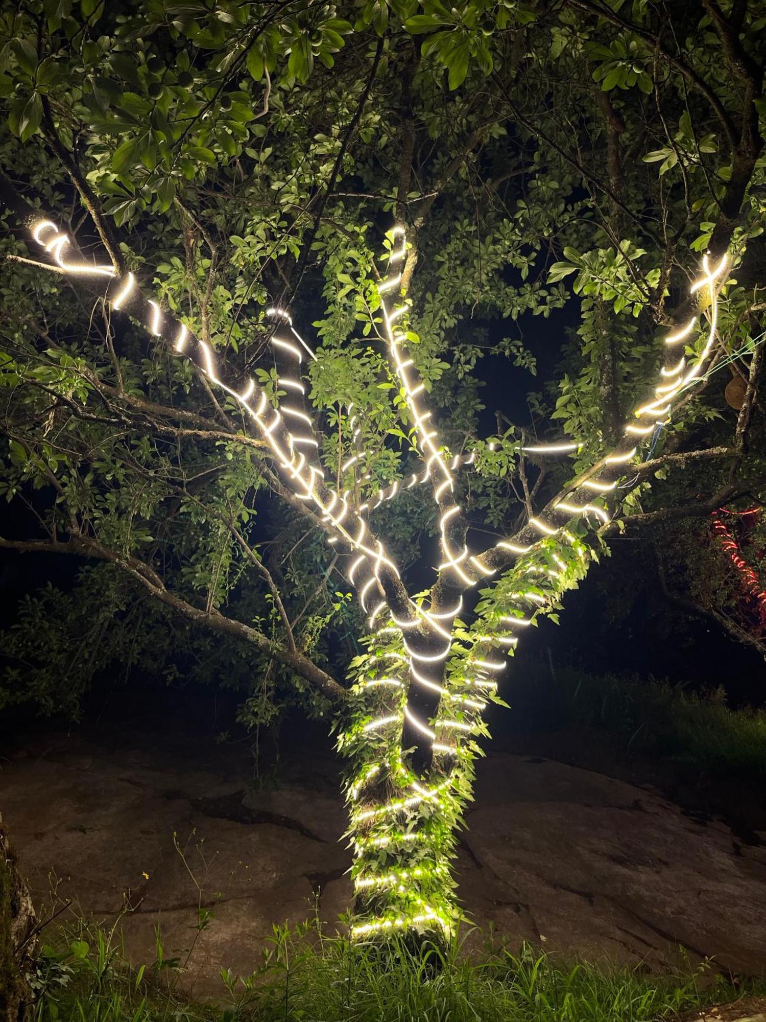 Ahava Kasol Riverside Cafe And Cottages エクステリア 写真